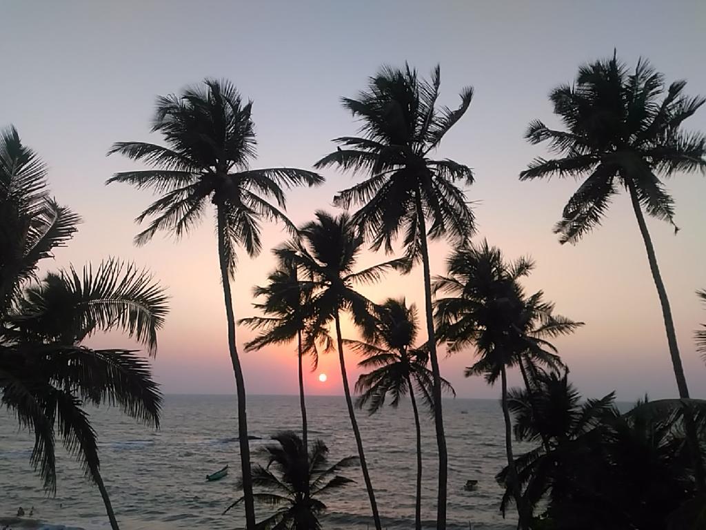 The Yuppi Hippi Hideout Hotel อันจูนา ภายนอก รูปภาพ
